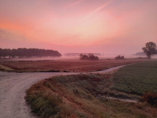 Alba sull'argine del fiume Tanaro